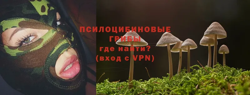 Псилоцибиновые грибы MAGIC MUSHROOMS  OMG вход  Данков  закладки 